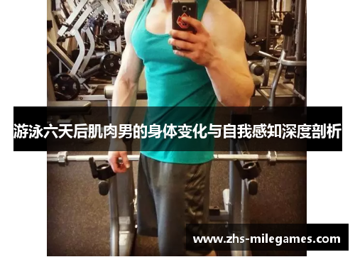 游泳六天后肌肉男的身体变化与自我感知深度剖析